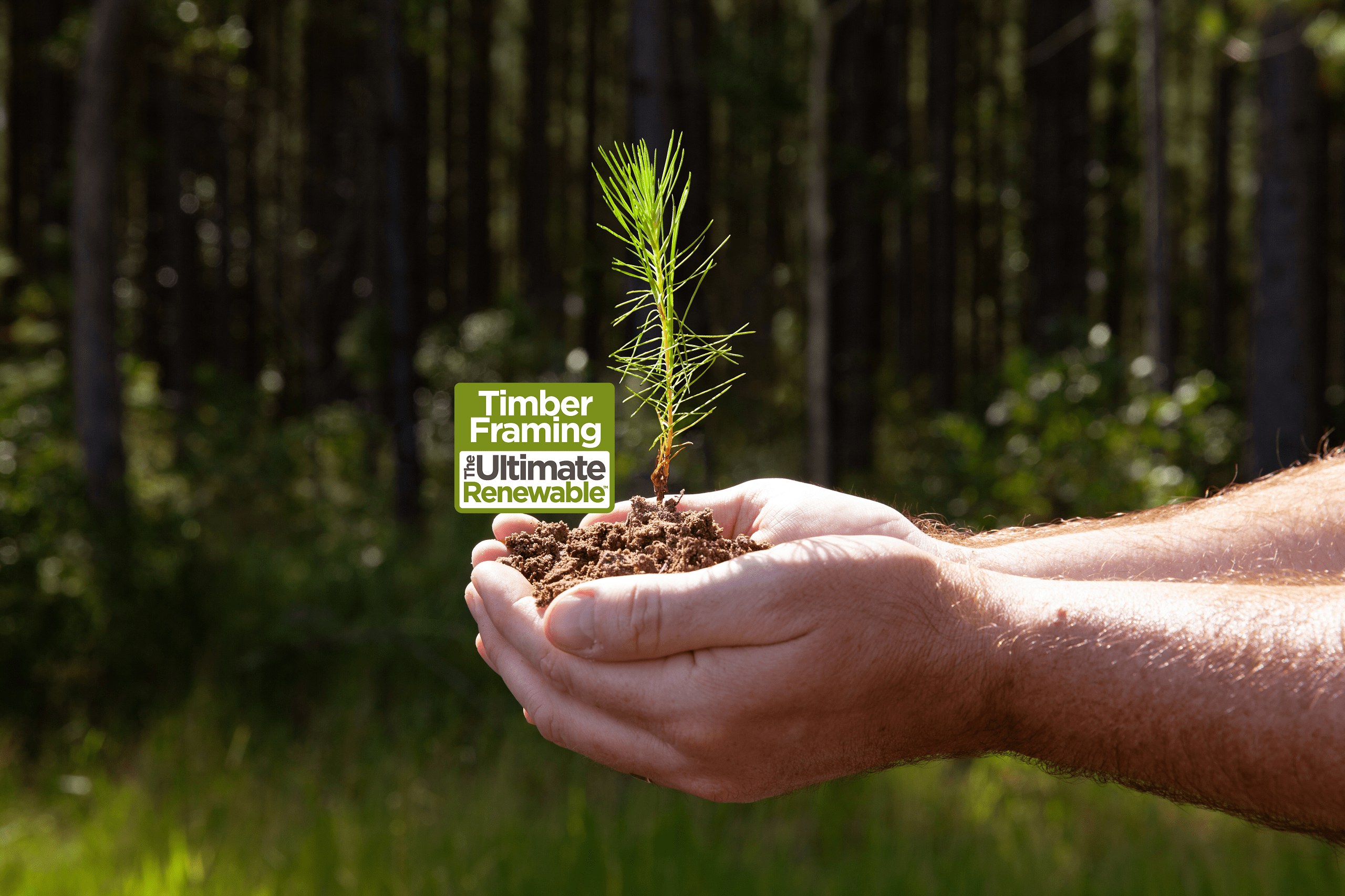 Timber Framing – the Ultimate Renewable™ - Timberlink Australia