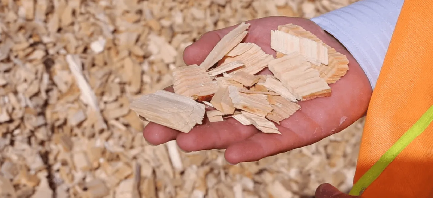  Timberlink woodchips being held in a hand