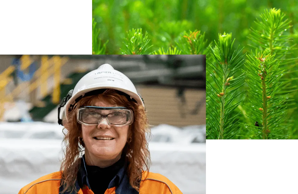  image of a woman working for timberlink